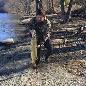 Meet your Posher, Sasha